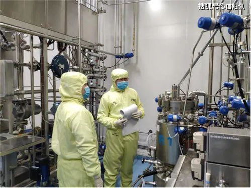 英雄武漢有序重啟 科研鏡頭聚焦醫(yī)學研發(fā)新篇章